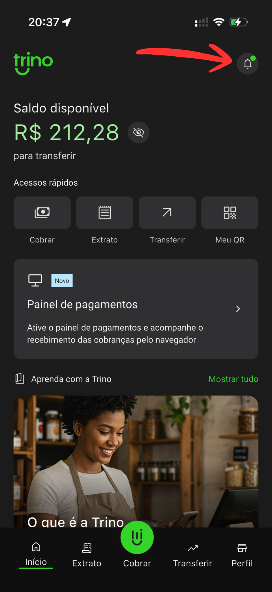 Ícone de notificações